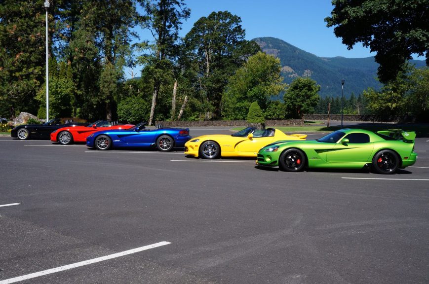 5 Vipers At Bonneville Dam