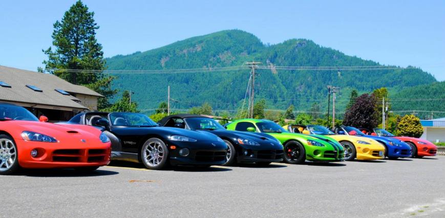 7 Vipers Near Mt. St. Helens
